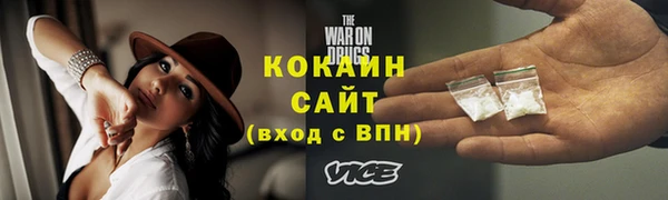 дживик Абаза