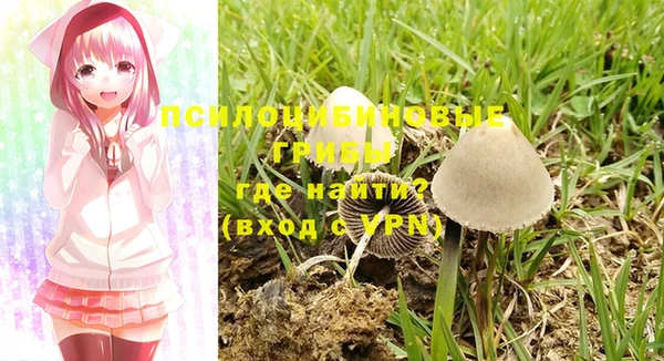 дживик Абаза