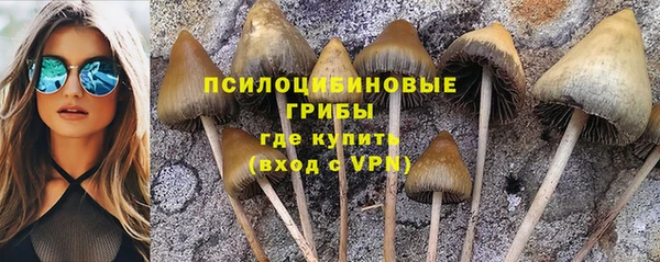 MDMA Алзамай